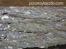 Limpieza de musgo y suciedad en tejados y cubiertas de pizarra natural. Tratamiento de la pizarra anti musgo.